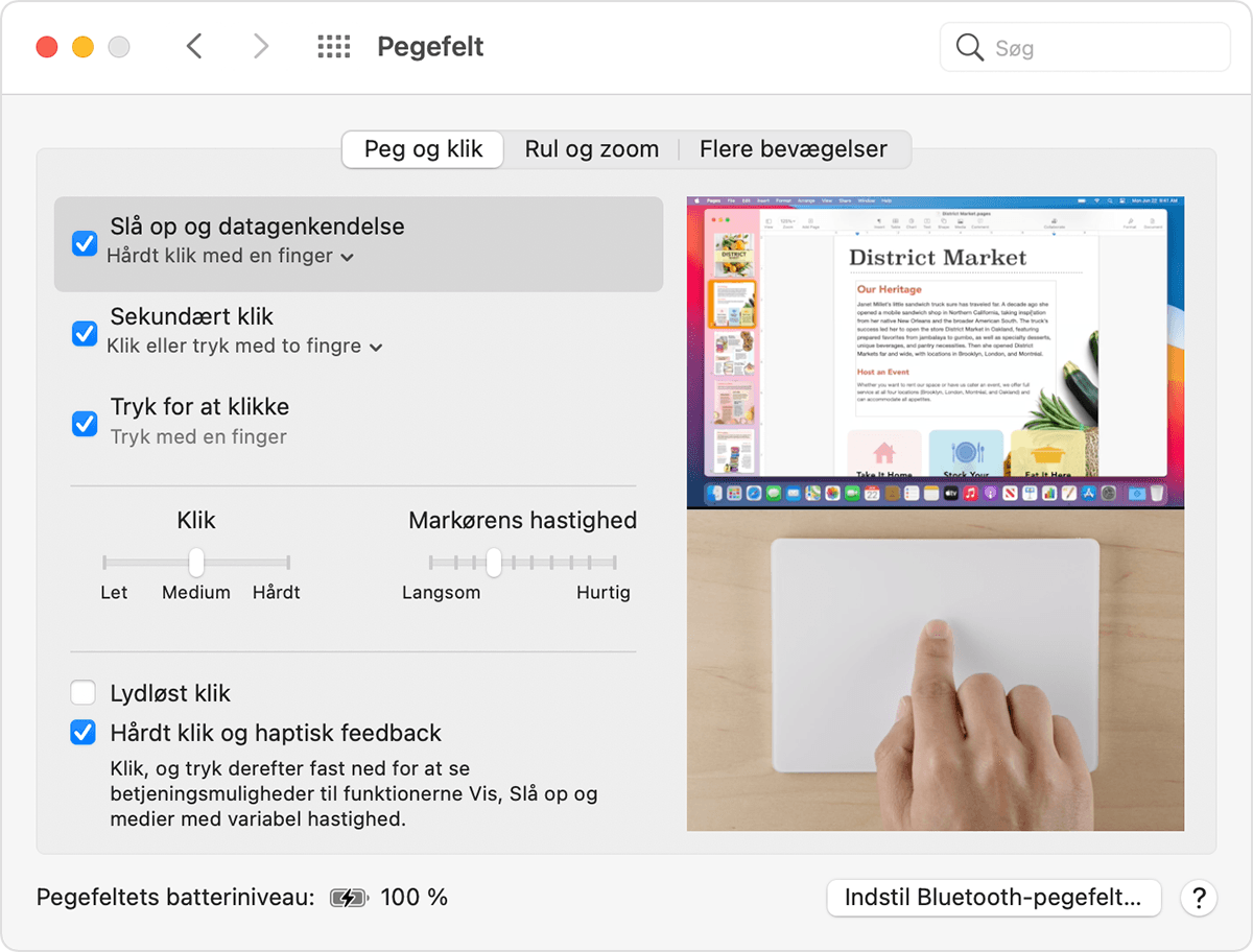 Vindue med indstillinger for pegefelt i macOS