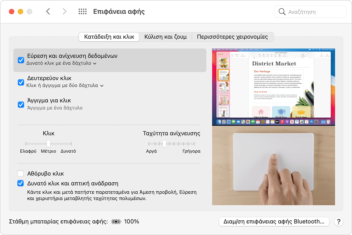 Παράθυρο προτιμήσεων επιφάνειας αφής στο macOS