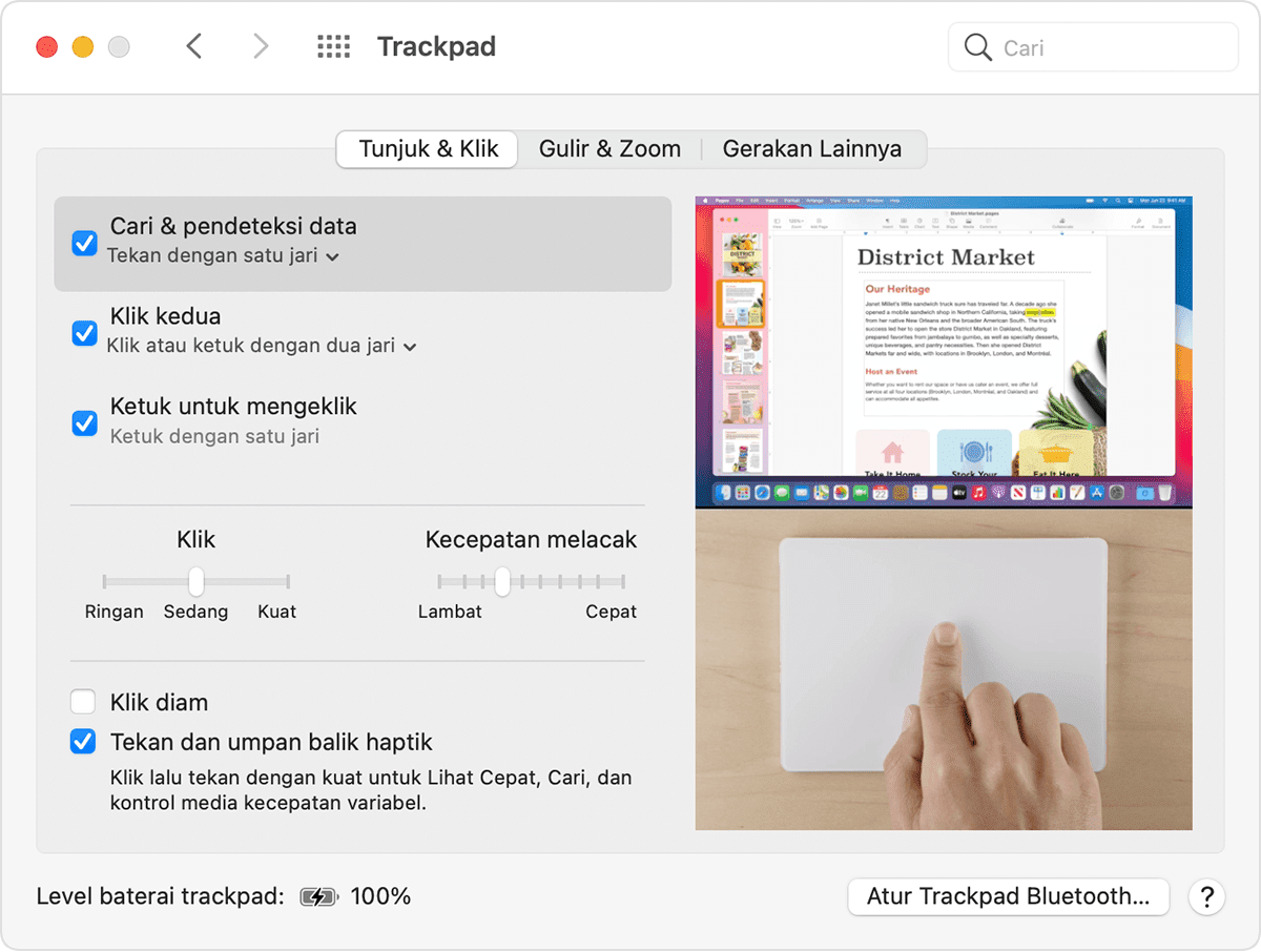 Jendela Preferensi Trackpad macOS