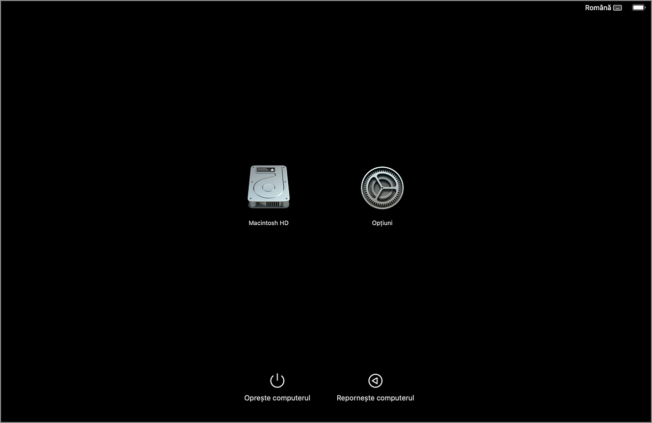 Ecran de opțiuni de pornire în macOS care afișează pictogramele Macintosh HD și Opțiuni