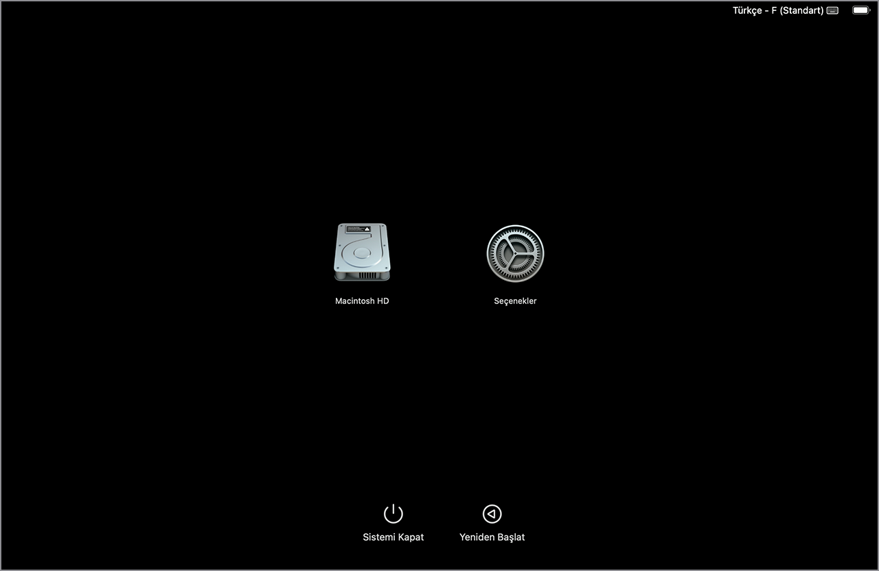 Macintosh HD ve Seçenekler simgelerinin görüntülendiği macOS başlangıç seçenekleri ekranı