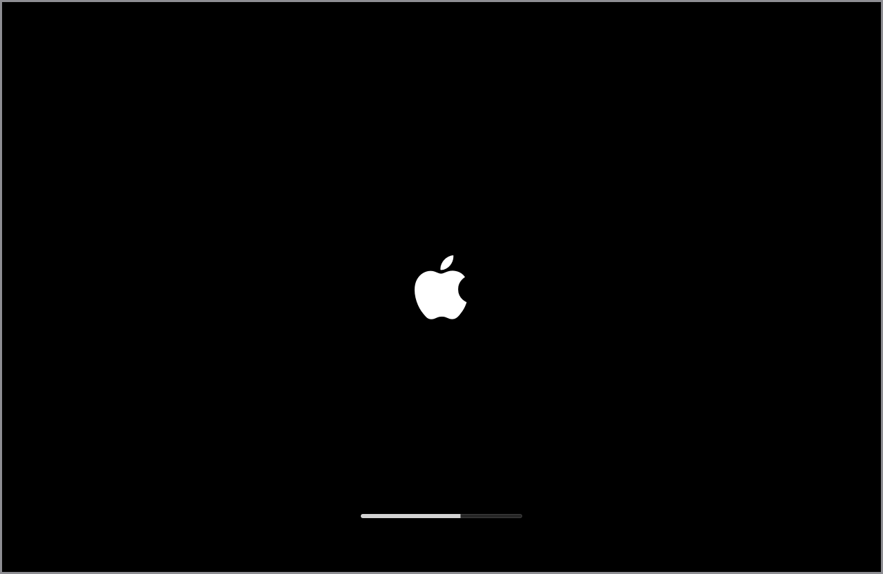 Apple logo startup screen with progress bar
