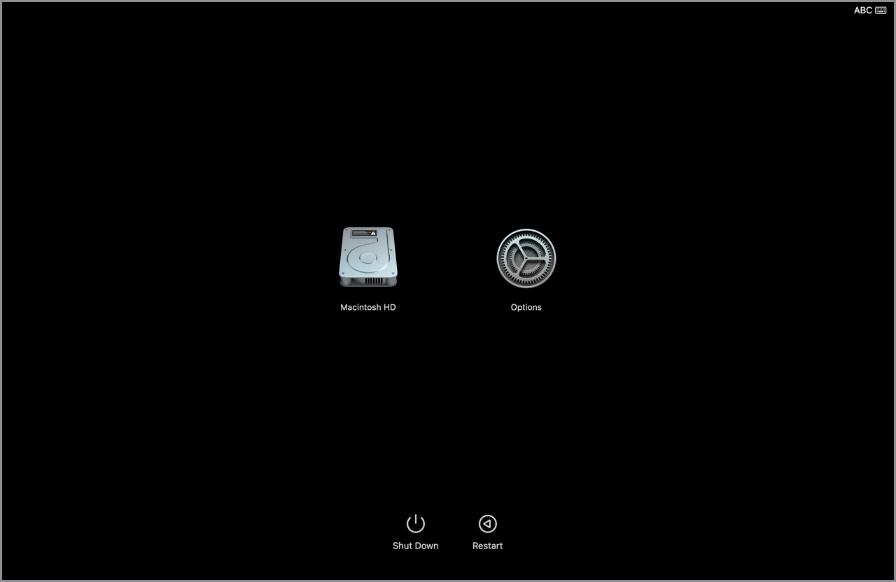 Écran des options de démarrage de macOS affichant les icônes Macintosh HD et Options