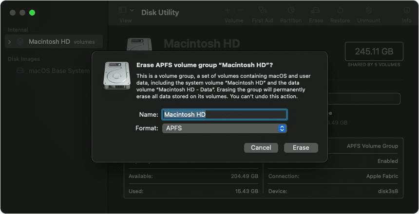 Disk Utility window Erase APFS volume group pop-up