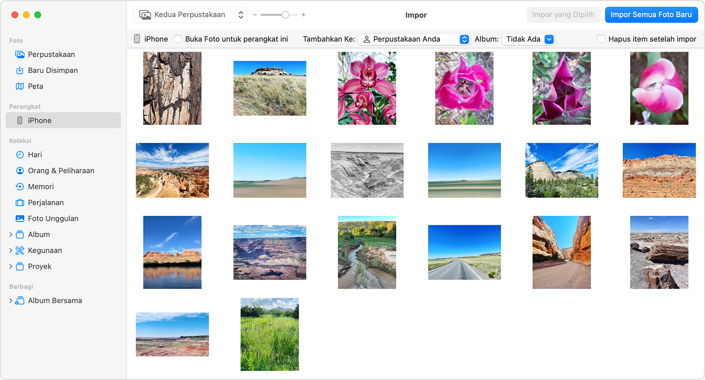 Layar Mac menampilkan foto yang tersedia untuk diimpor