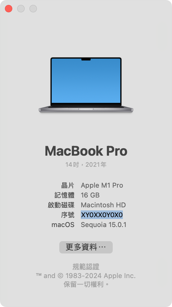 重點標示序號的「關於此 Mac」視窗