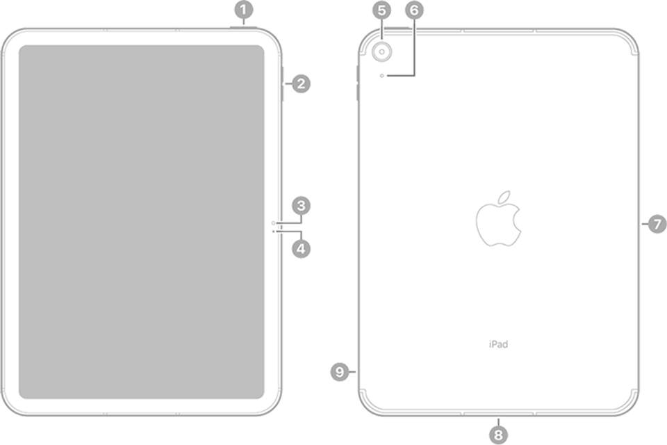 iPad Pro 12.9-inch (4th generation) - Technical Specifications - Apple  Support