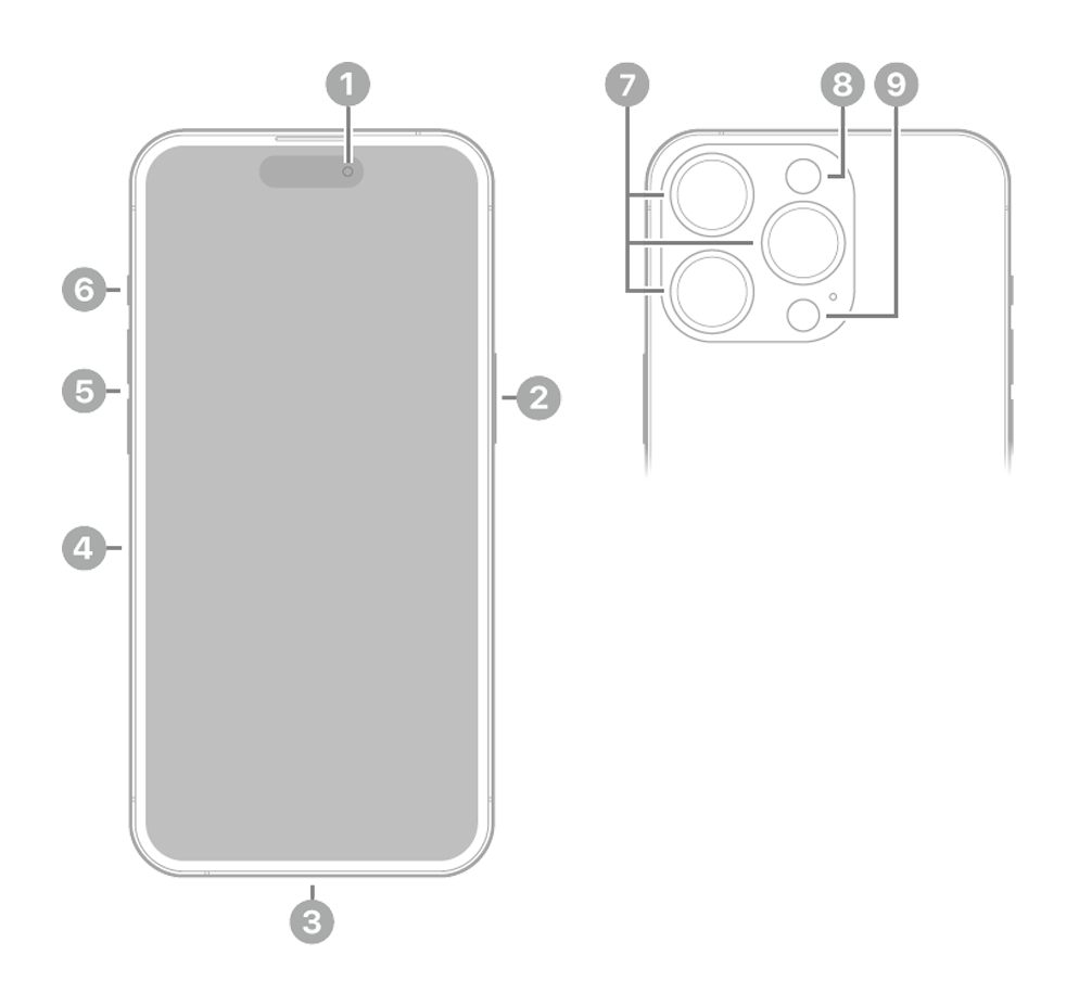 Apple iPhone 12 (14th Gen) Dimensions & Drawings