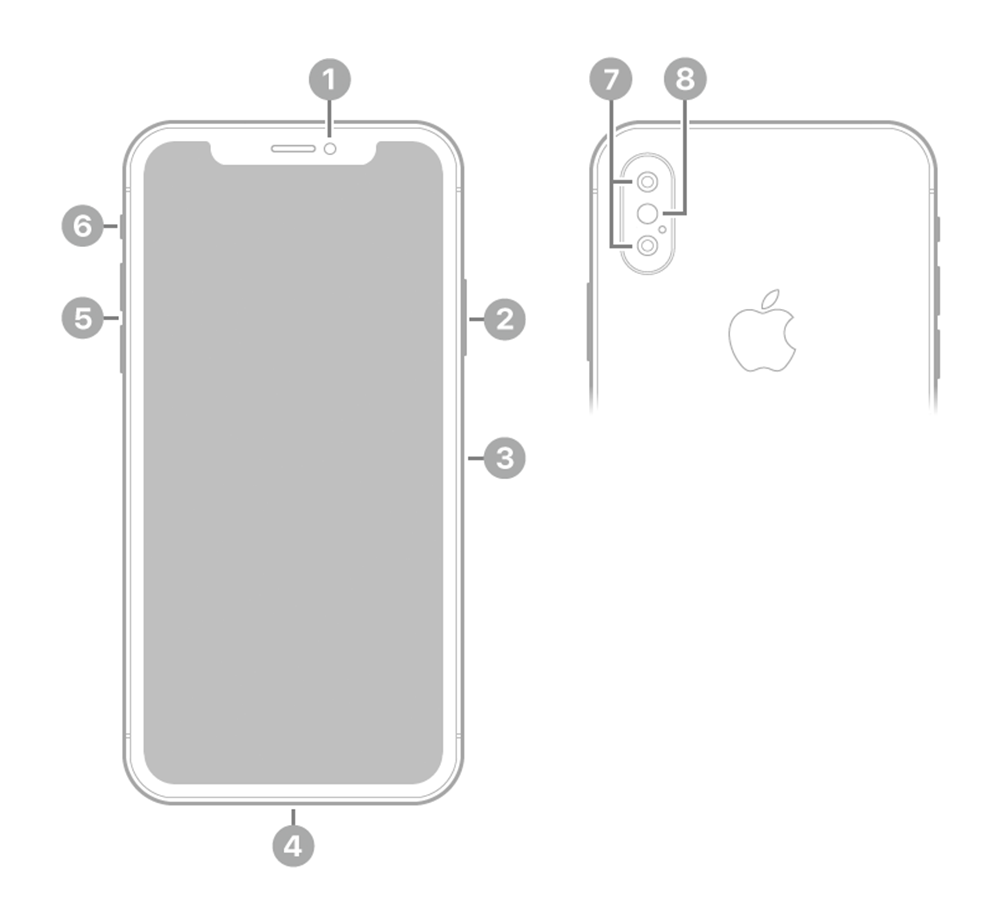 Apple iPhone 6 (8th Gen) Dimensions & Drawings