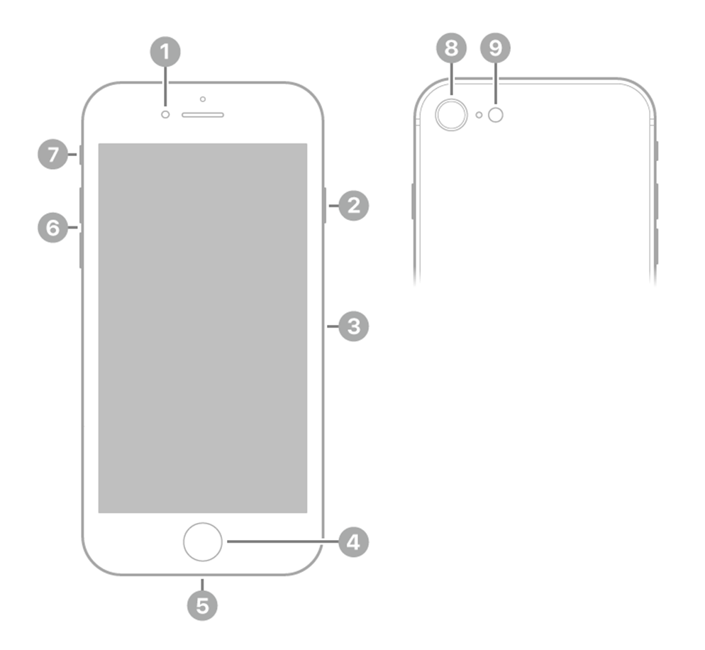 iPhone SE（第3 代） - 技术规格- 官方Apple 支持(中国)